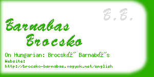 barnabas brocsko business card